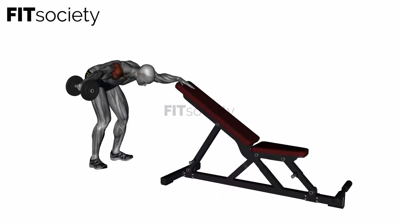 One-Arm Reverse Dumbbell Fly
