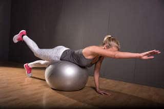 Bird Dog (On Stability Ball)