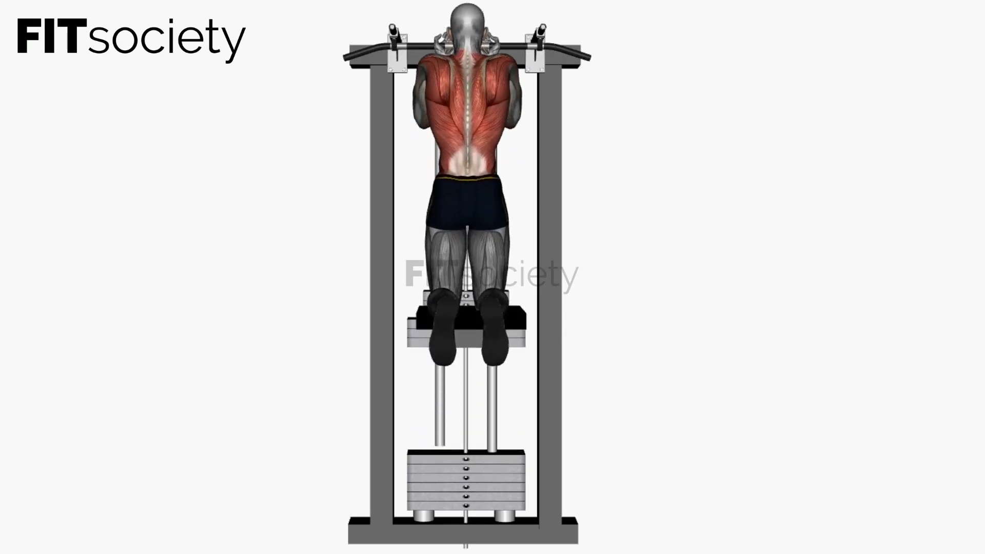 Assisted Chin-Up, Reverse Close Grip