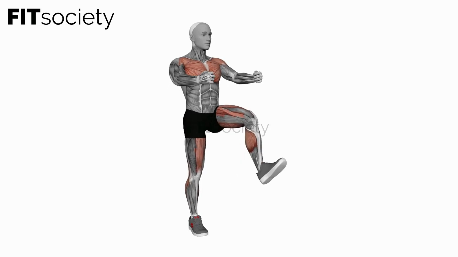 Double Punch Front Leg Lift