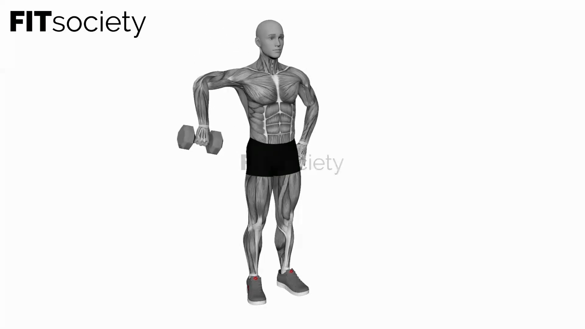 Dumbbell Upright Shoulder External Rotation