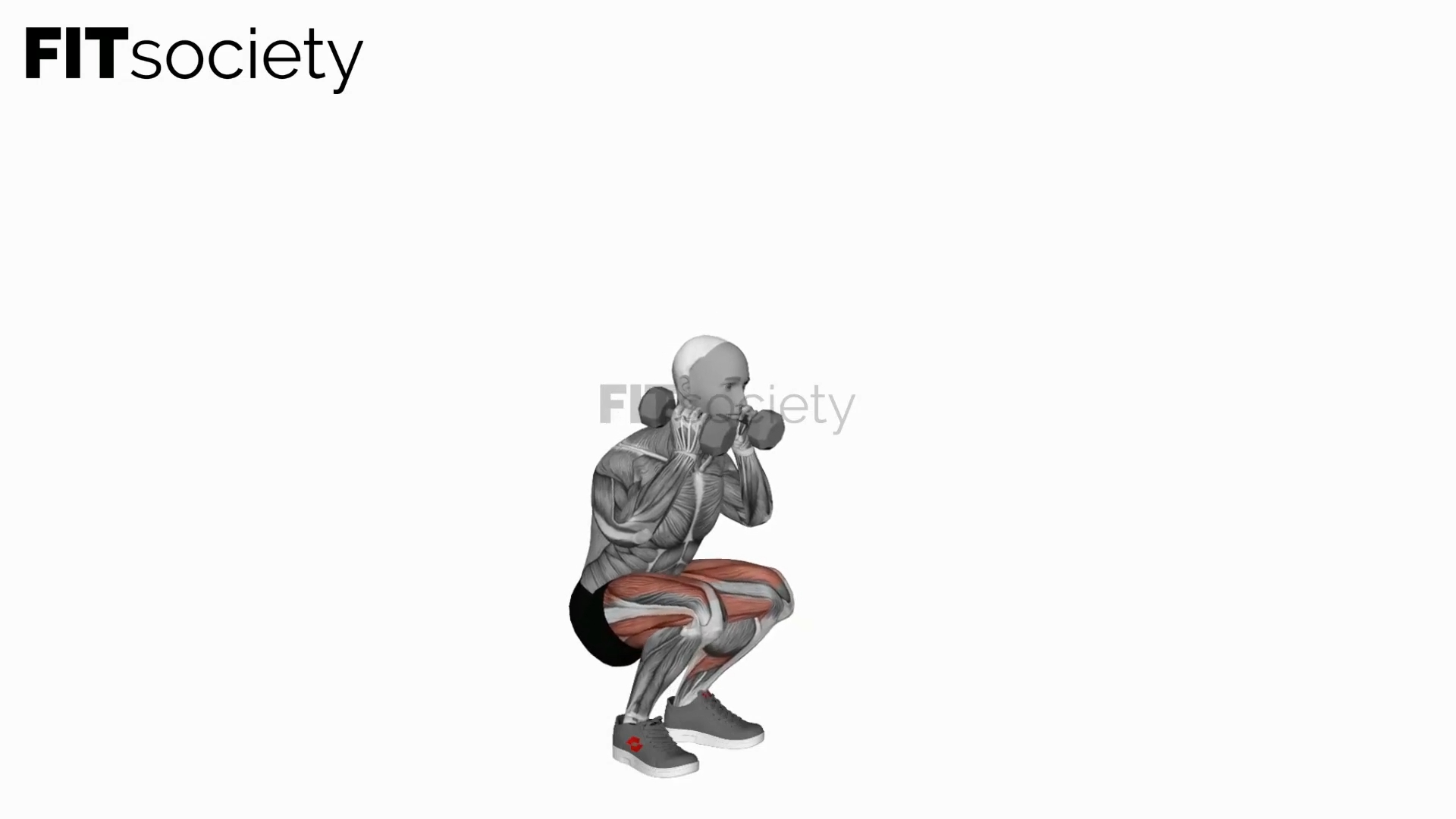 Dumbbell Front Squat