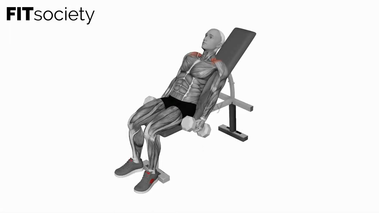 Dumbbell Incline Shrug
