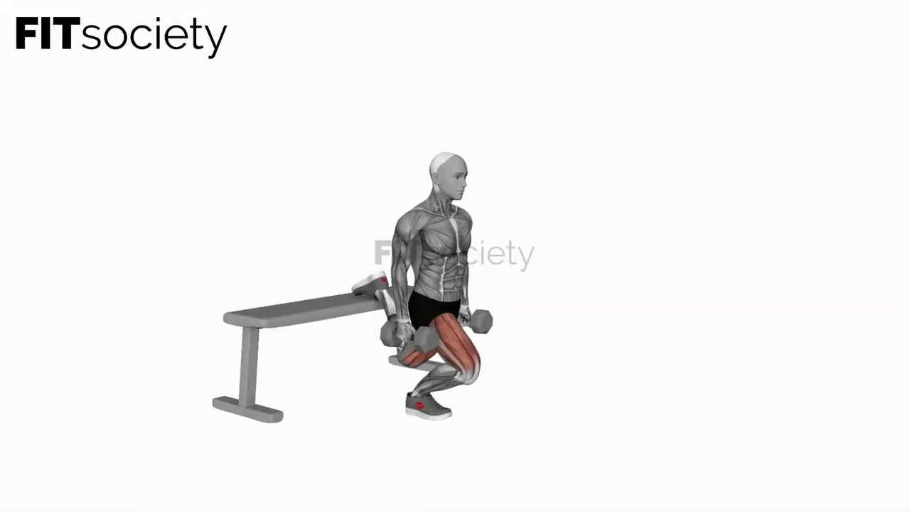Dumbbell Bulgarian Split Squat