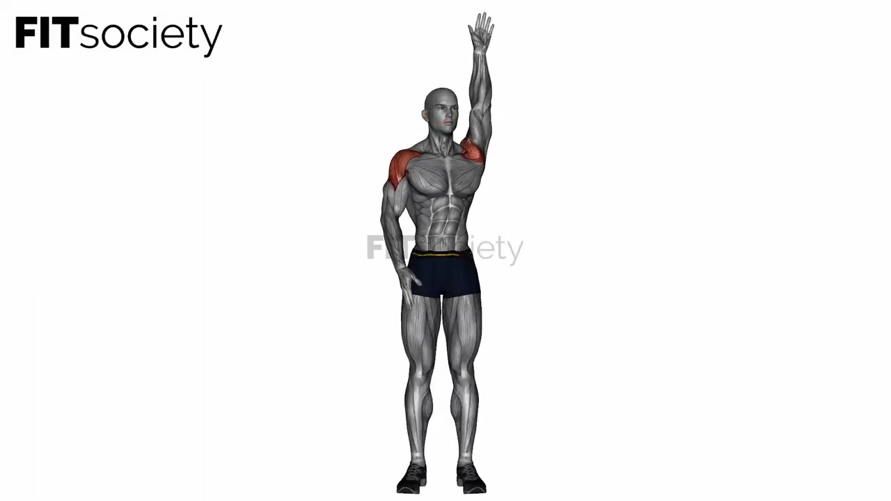 Standing Swimmer