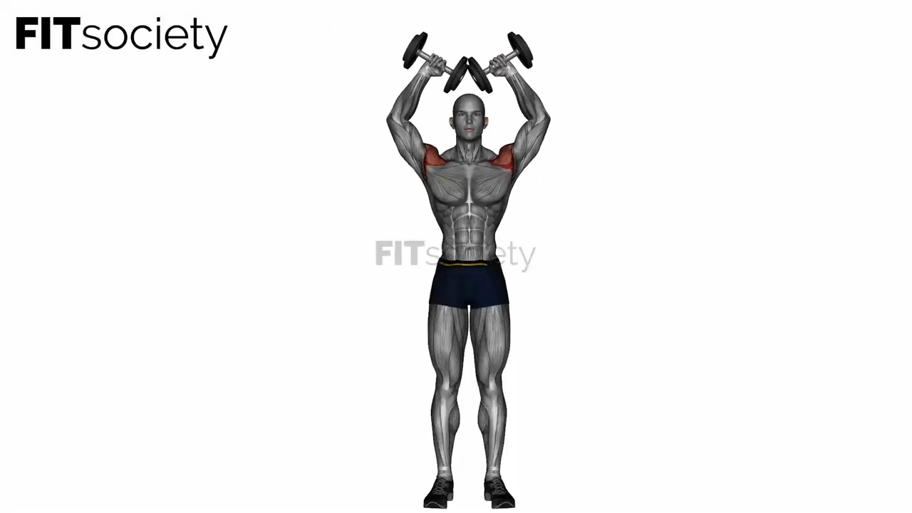 Dumbbell W Press