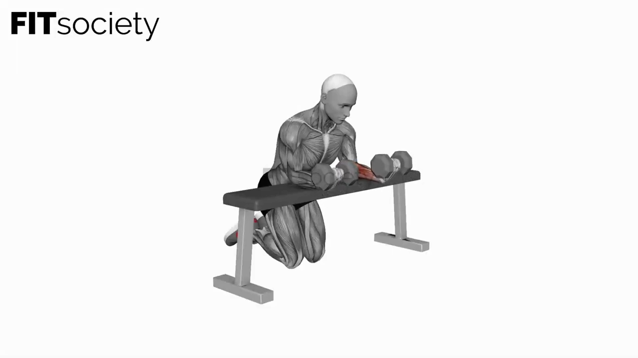 Dumbbell Over Bench Reverse Wrist Curl