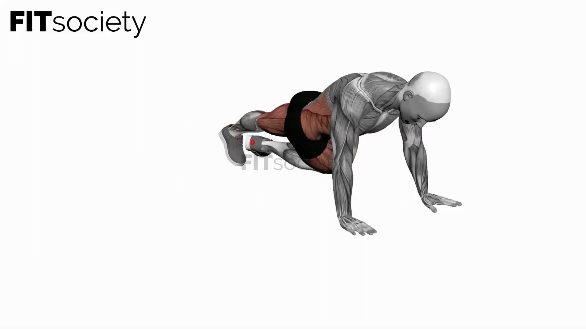 Bridge - Cross-Body Mountain Climber