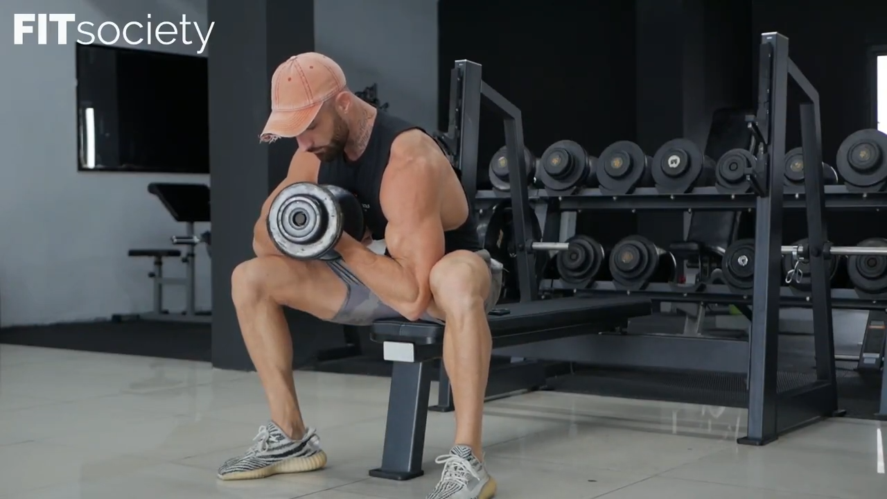 Seated Concentration Curls