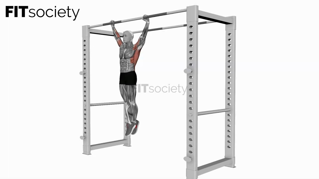 Dead Hang Stretch