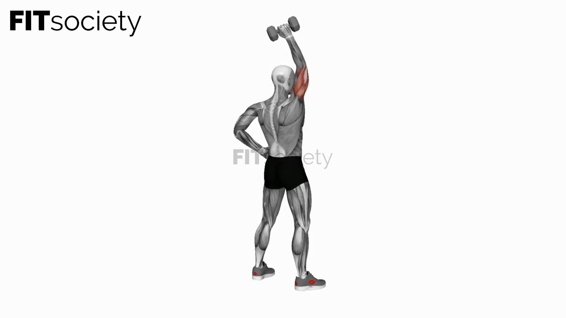 Dumbbell Standing One Arm Extension