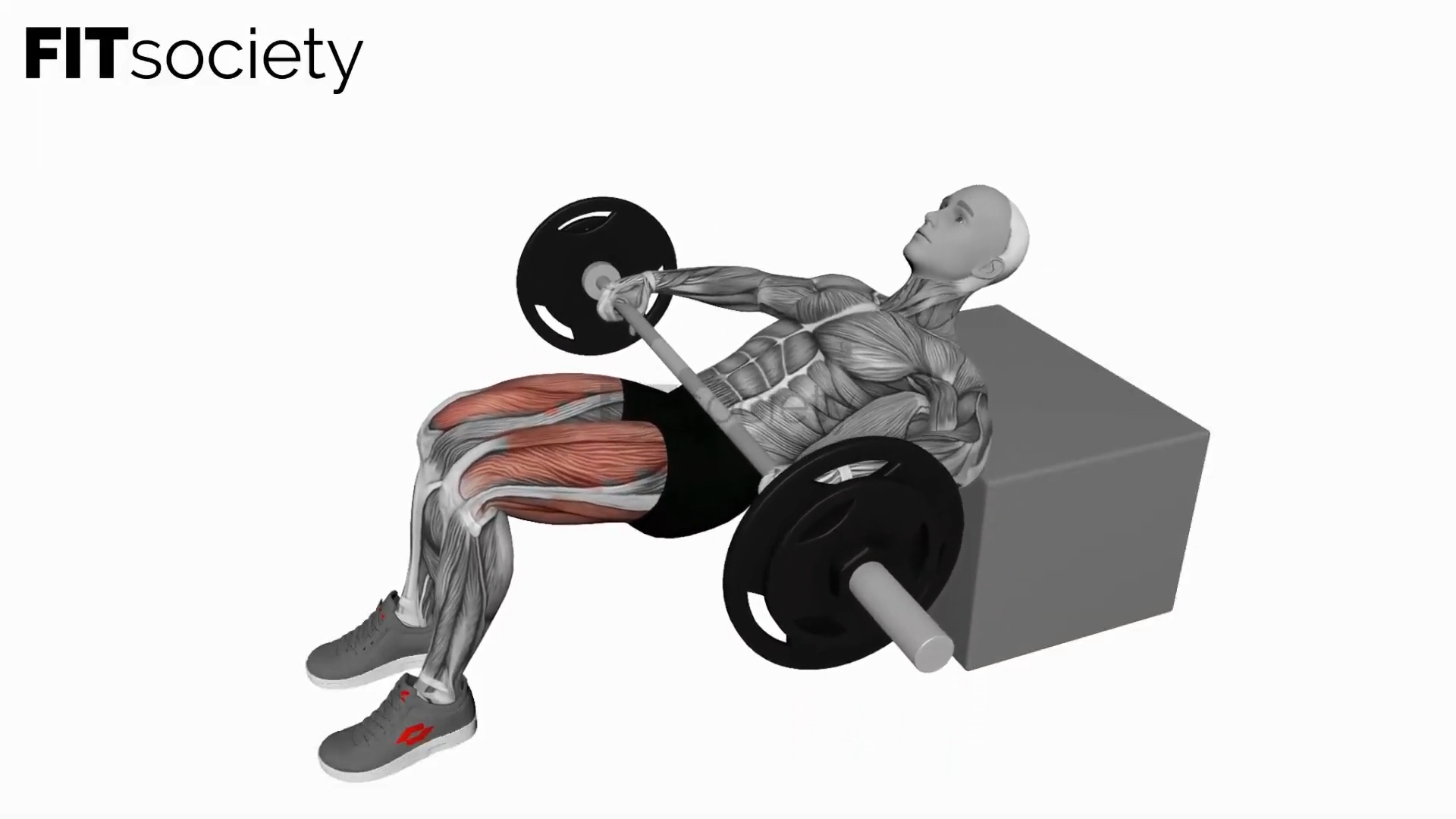 Barbell KAS Glute Bridge