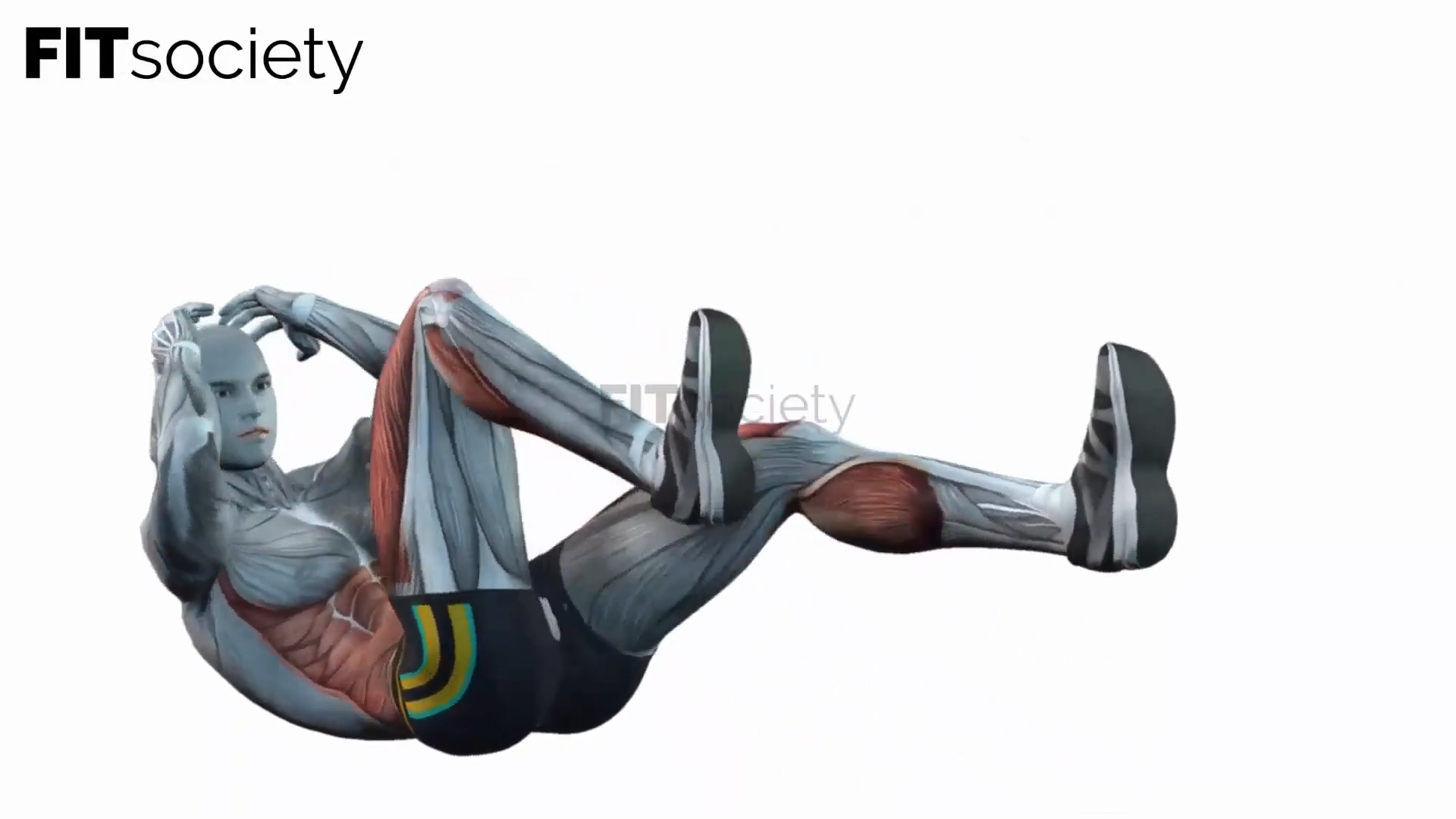 Bicycles Crunches