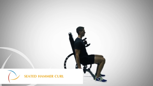 Sitzender Hammercurl