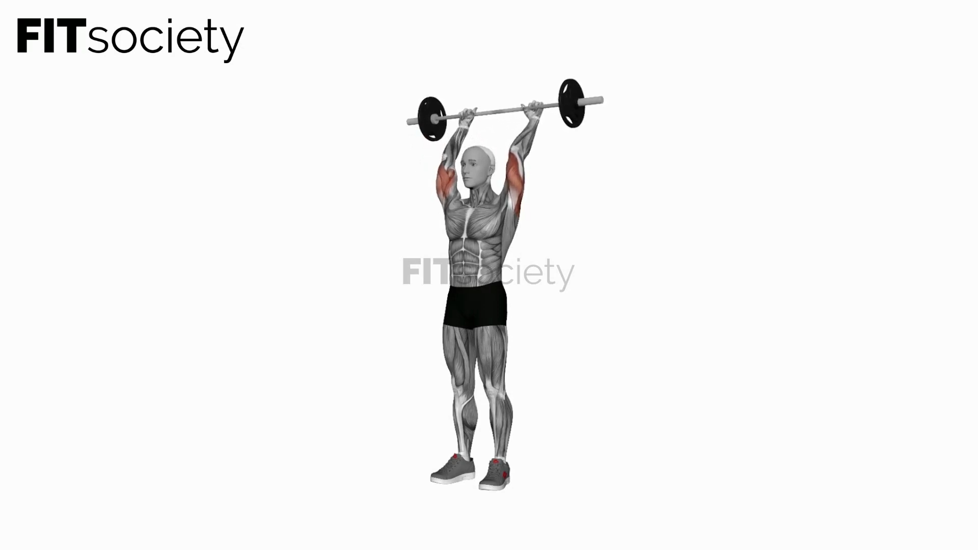 Barbell Standing Overhead Triceps Extension
