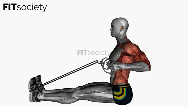 Rowing assis avec élastique de résistance – câble