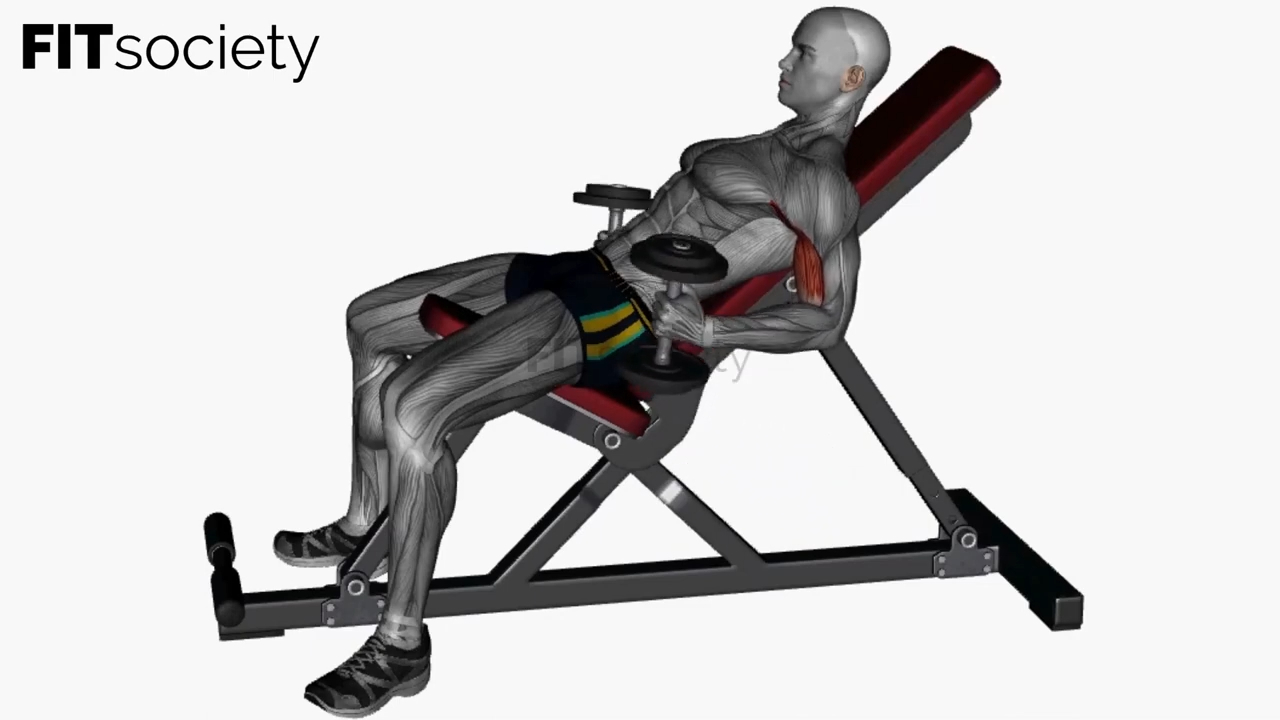Incline Bench Hammer Curls
