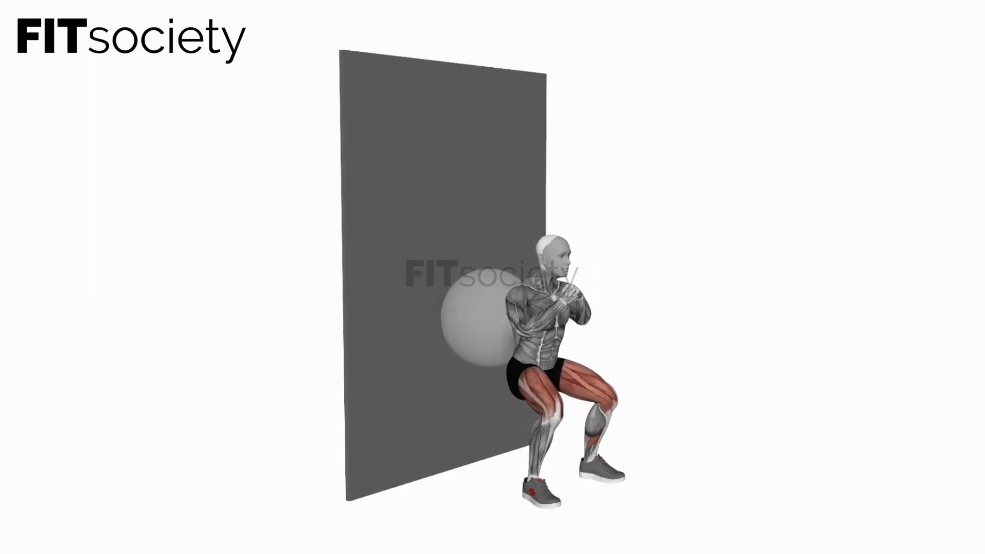 Squat au mur avec ballon de stabilité