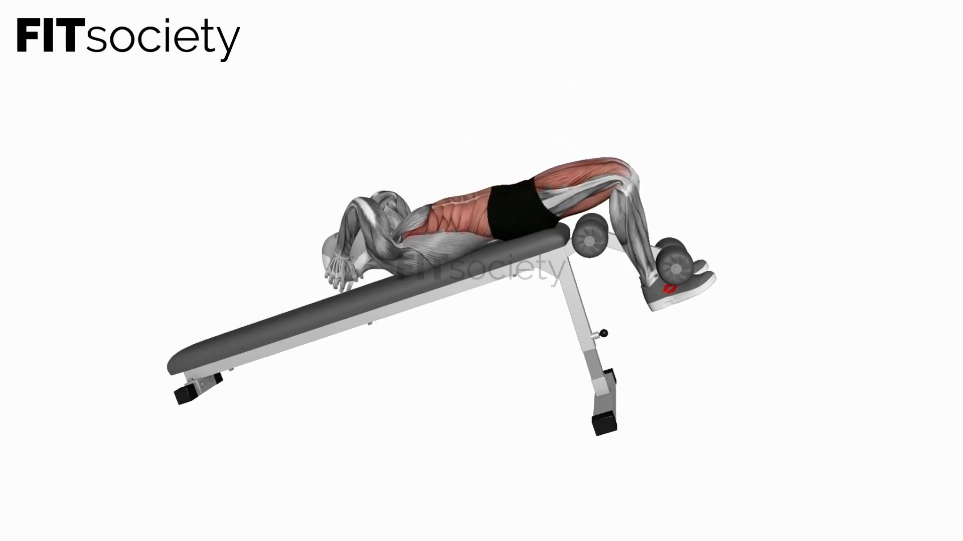 Decline Bench Sit-Up