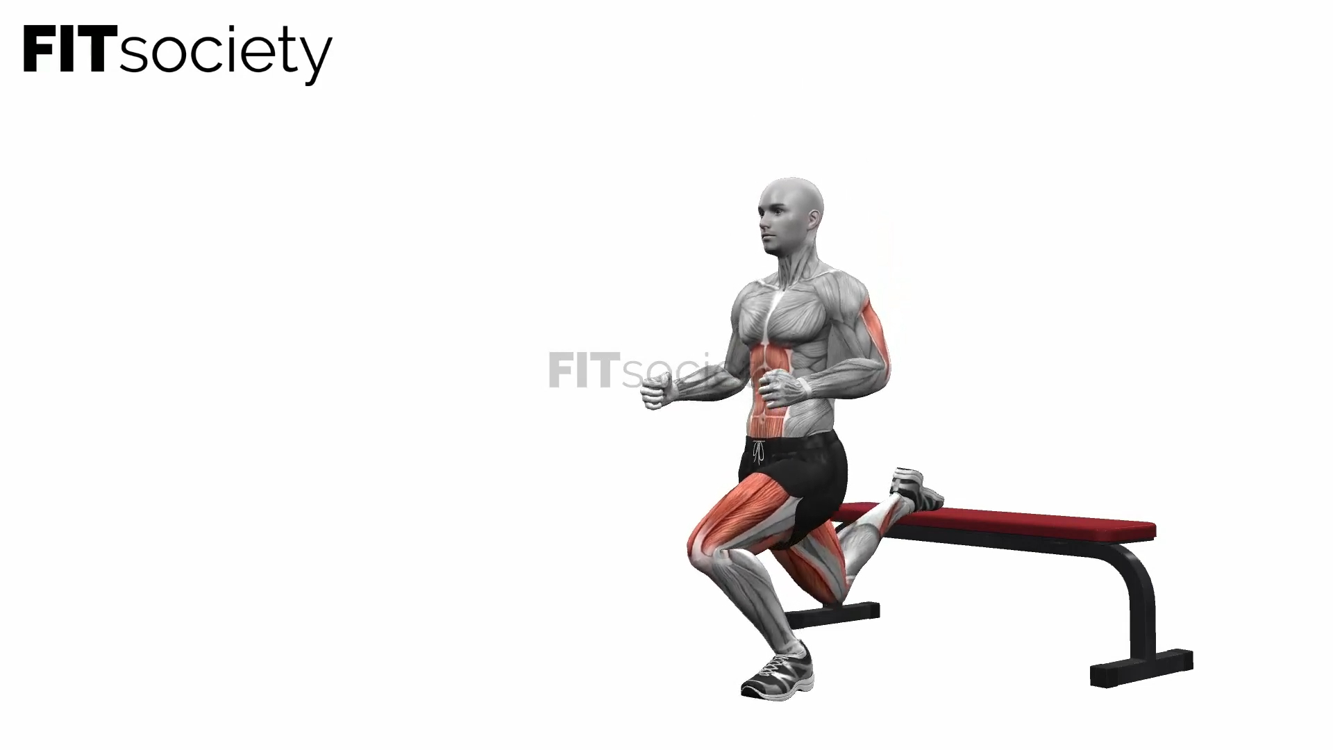 Bench Bulgarian Split Squats Left