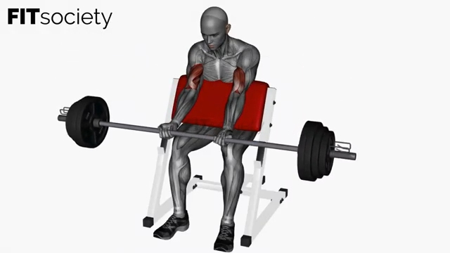 Preacher Curl Barbell
