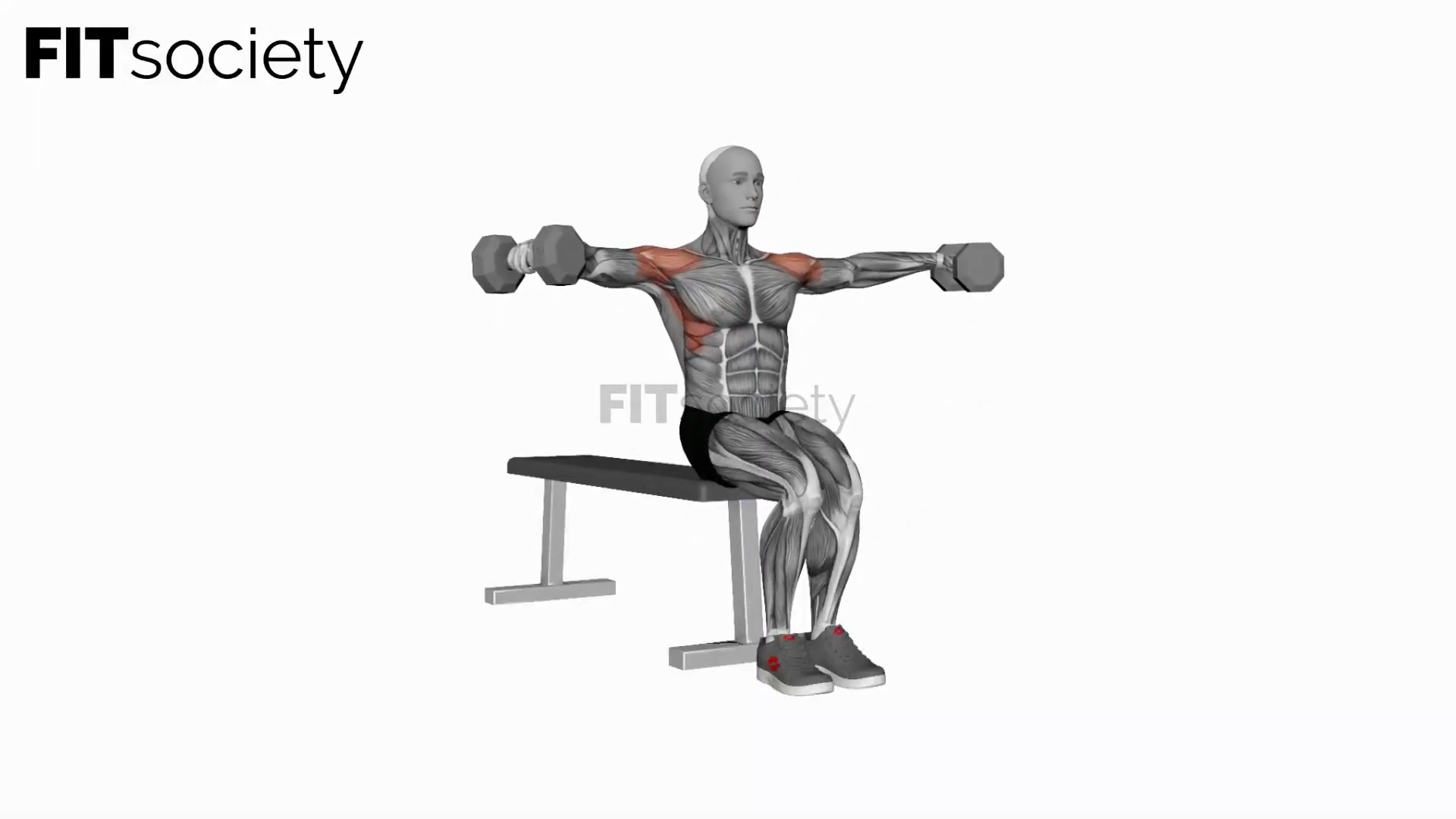 Dumbbell Seated Bent Arm Lateral Raise