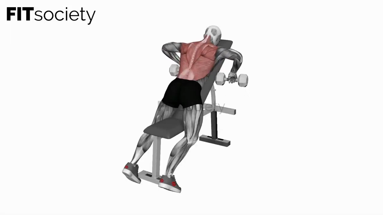 Dumbbell Incline Row