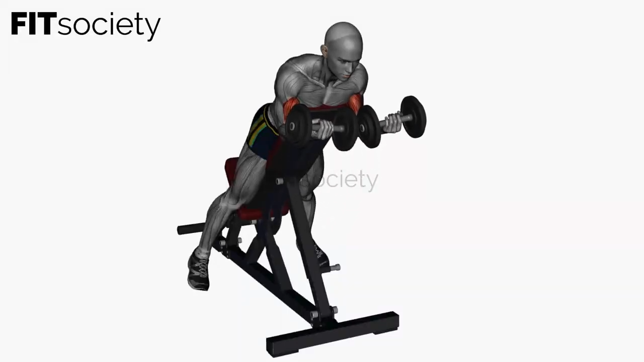 Spider Curl Dumbbells Simultaneous