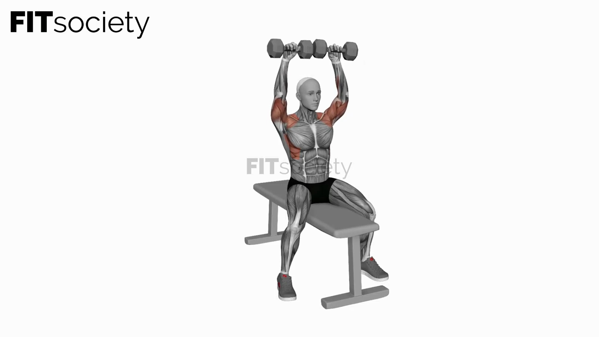 Seated Dumbbell Bench Press