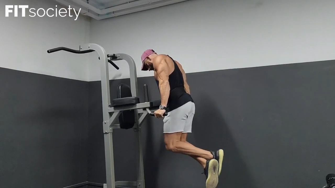 Dips Weighted