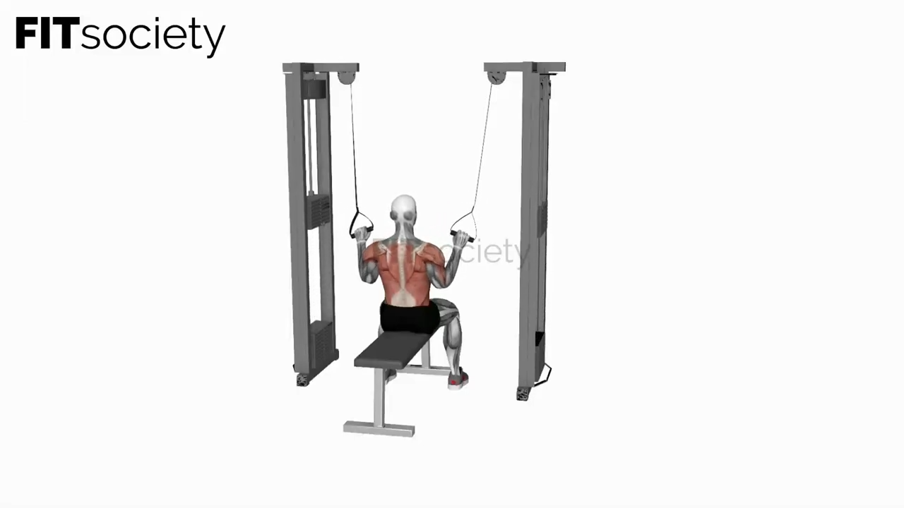 Cable Twin-Handle Neutral-Grip Lat Pulldown