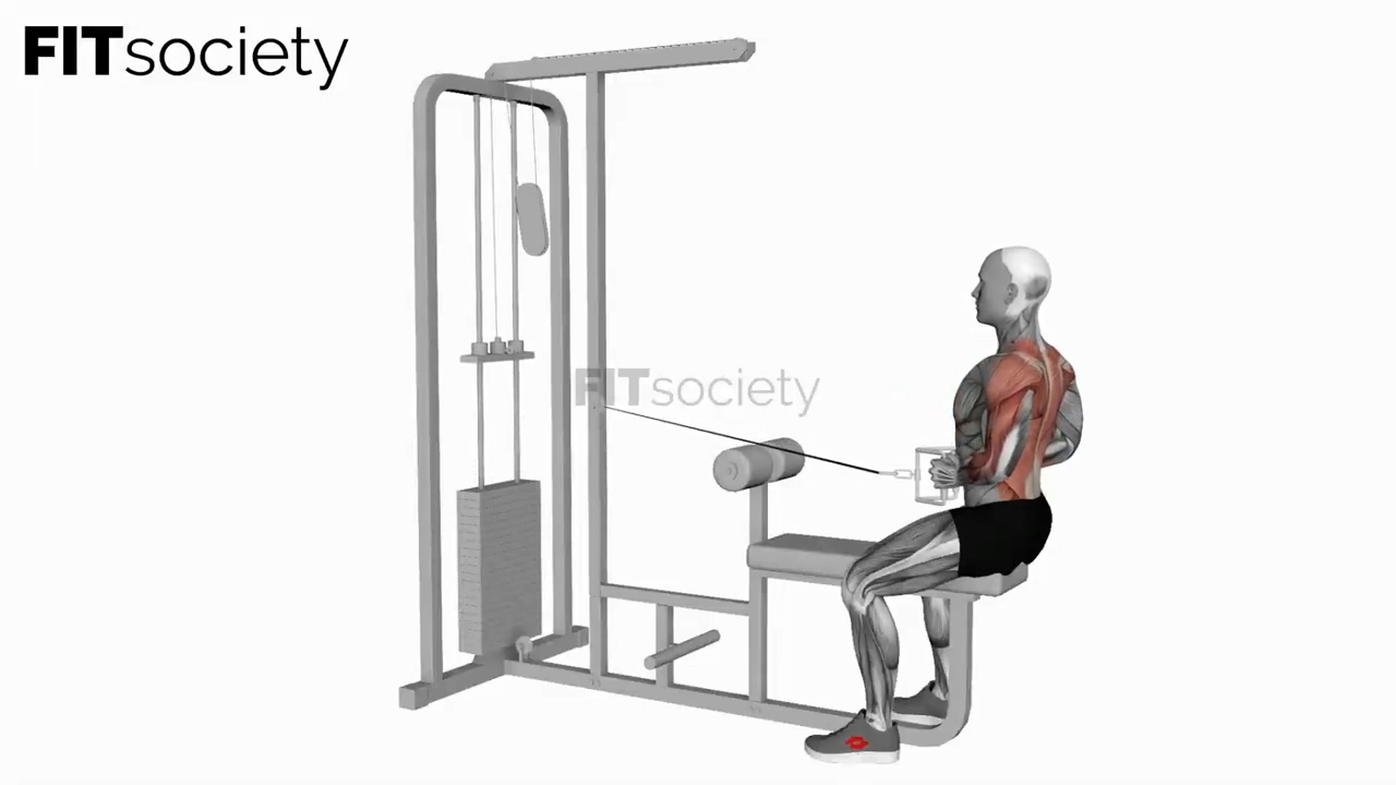 Cable Seated Row with V-Bar