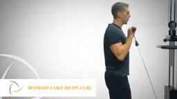 Reversed Cable Biceps Curl