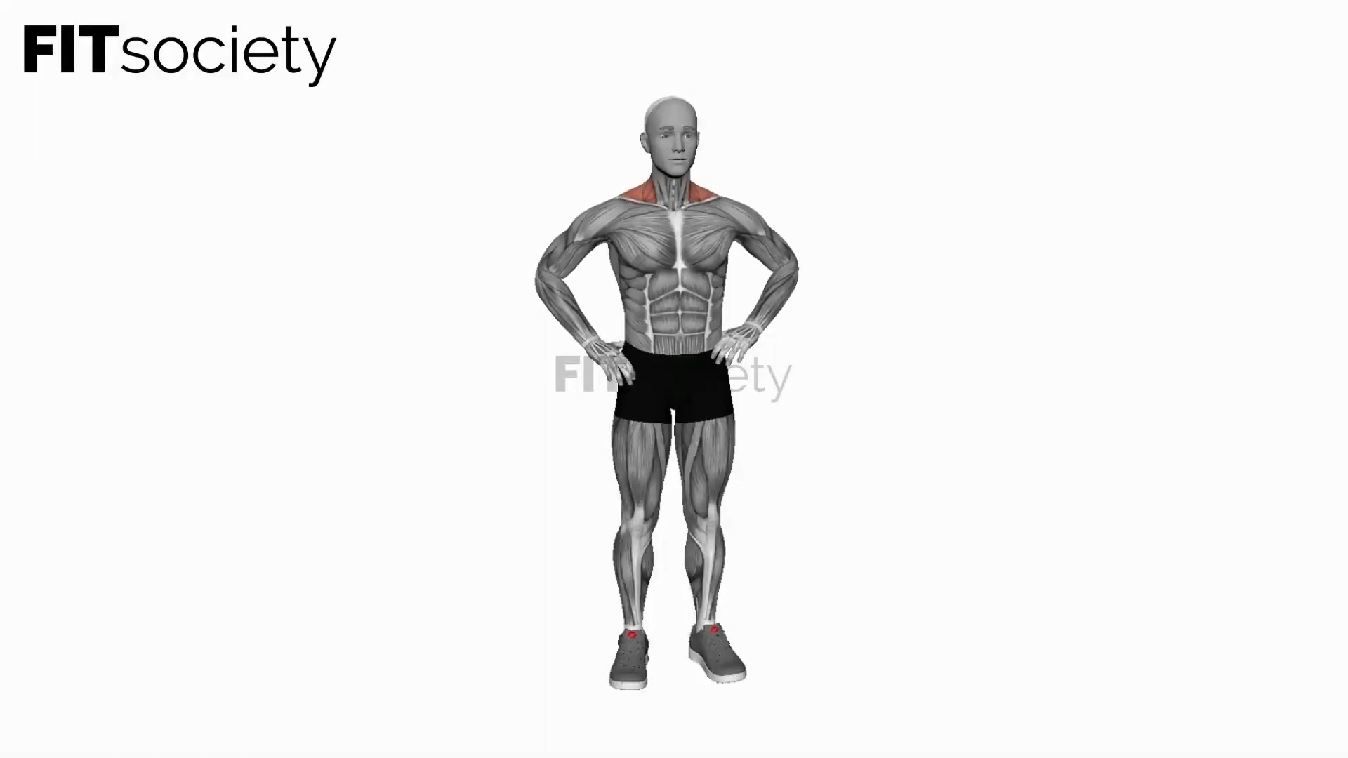 Bodyweight Standing Shrug