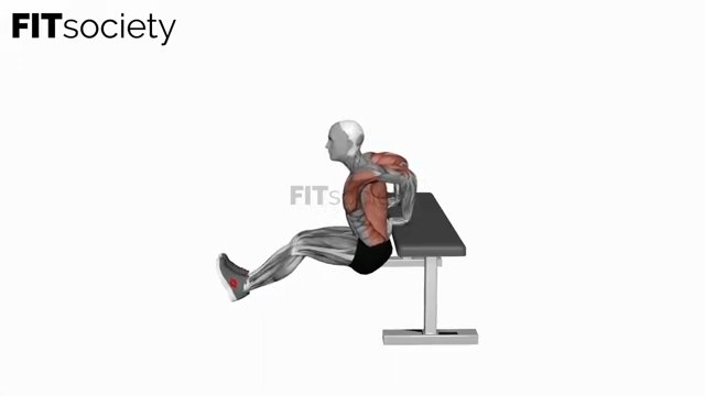 Chest Dip on Bench