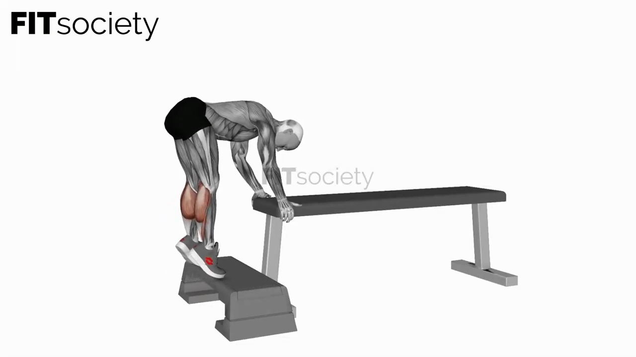 Donkey Calf Raise