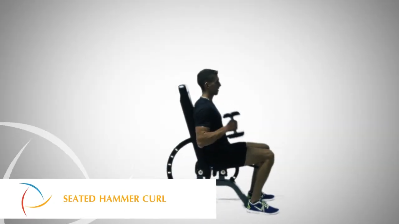 Sitzender Hammercurl