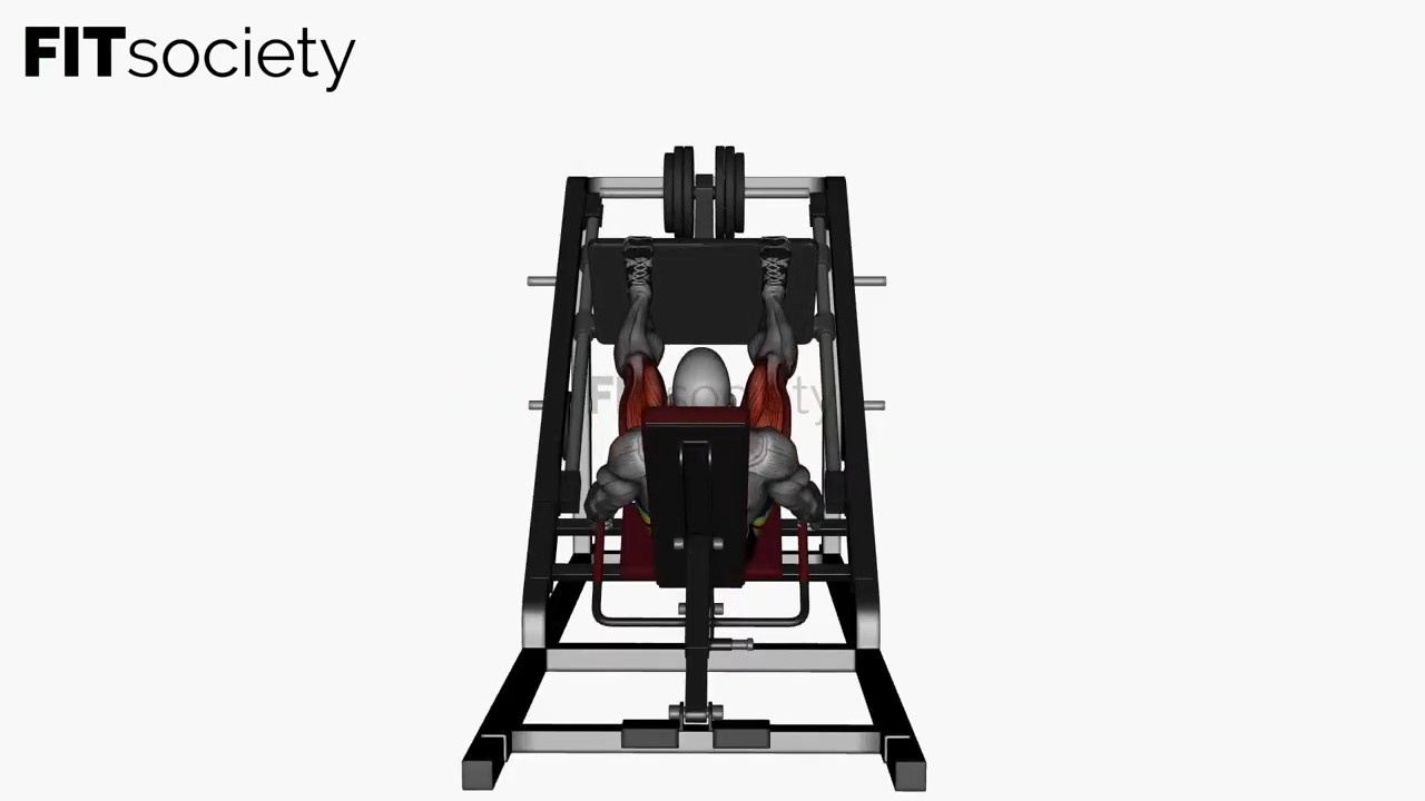 Leg Press Wide High Stance Behind View
