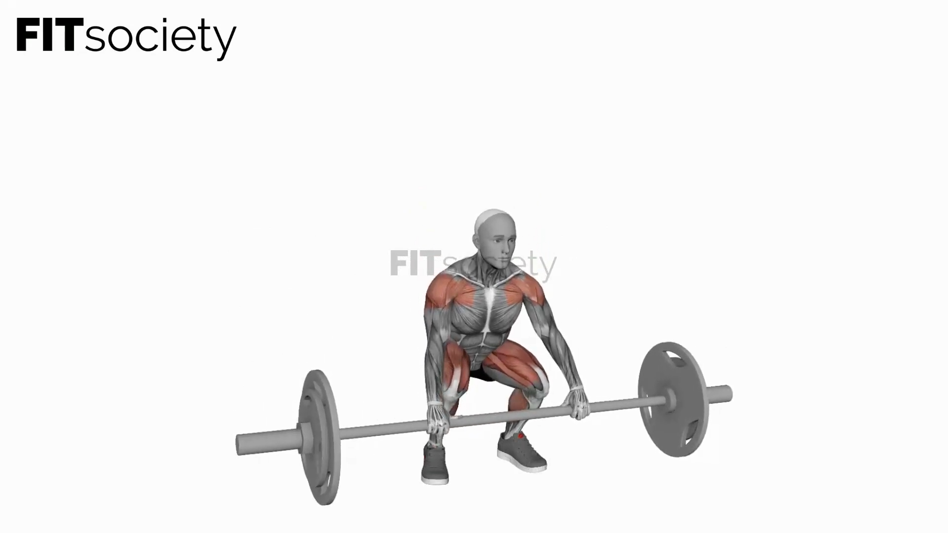 Barbell Muscle Clean