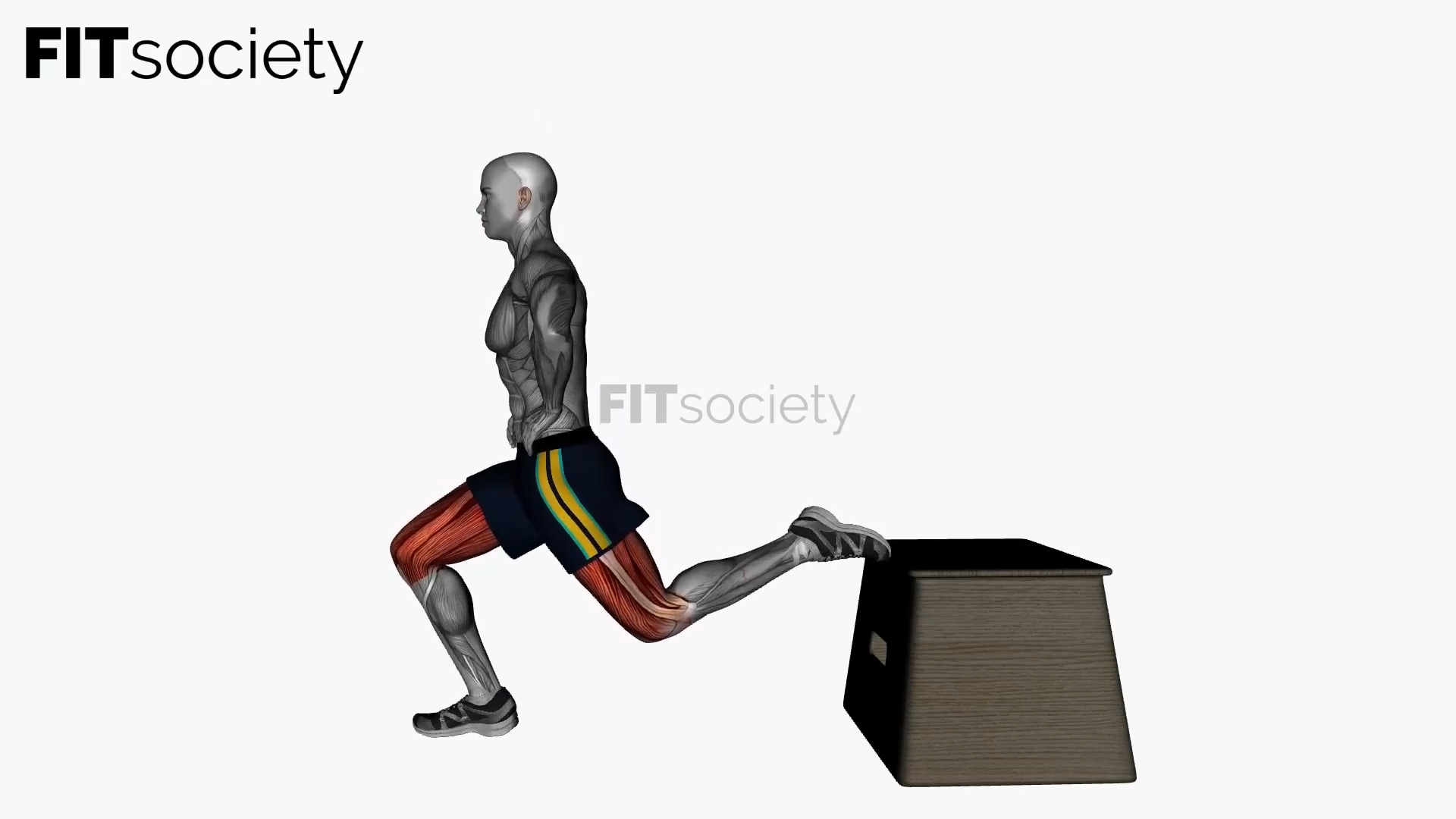 Bulgarian Split Squat Left Bodyweight Side View