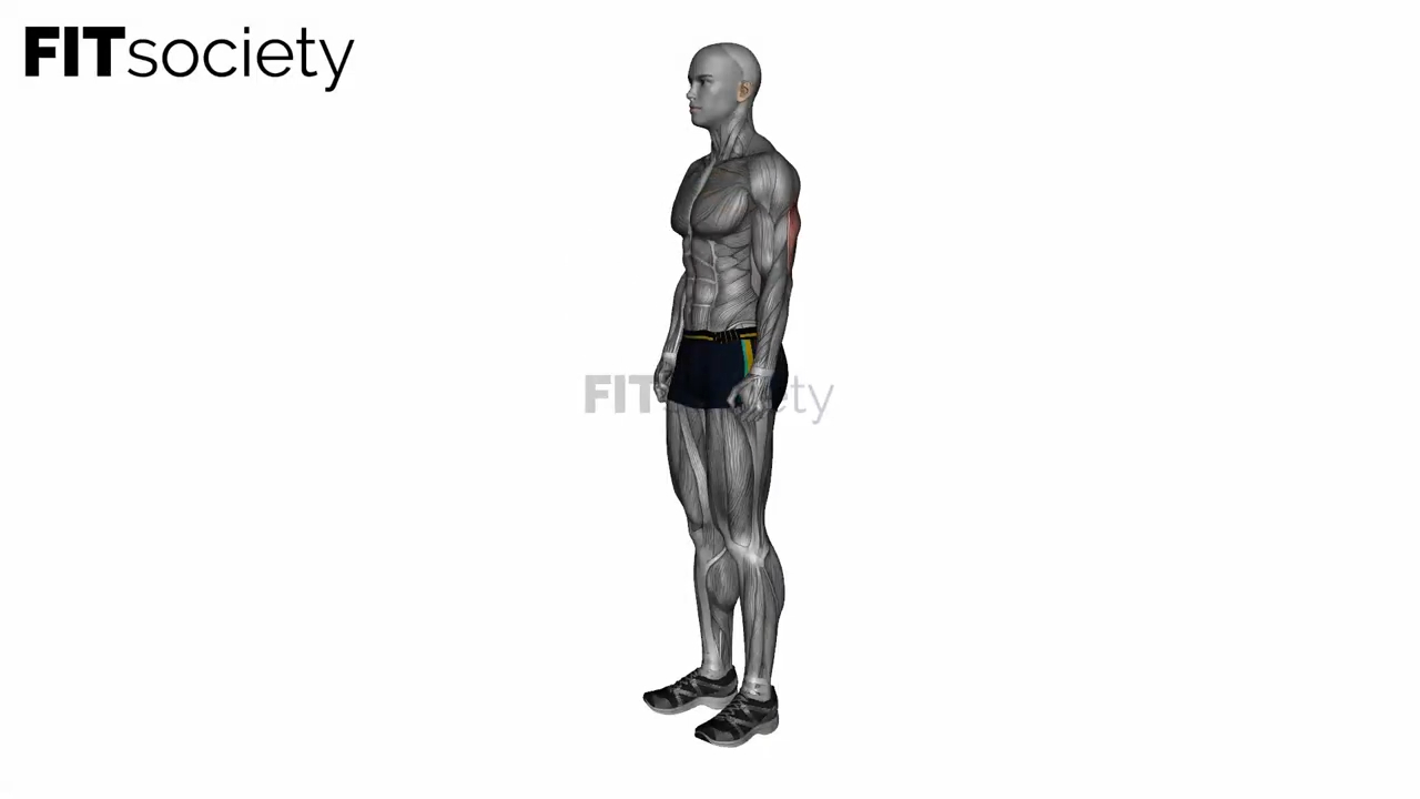 Triceps Light Stretch