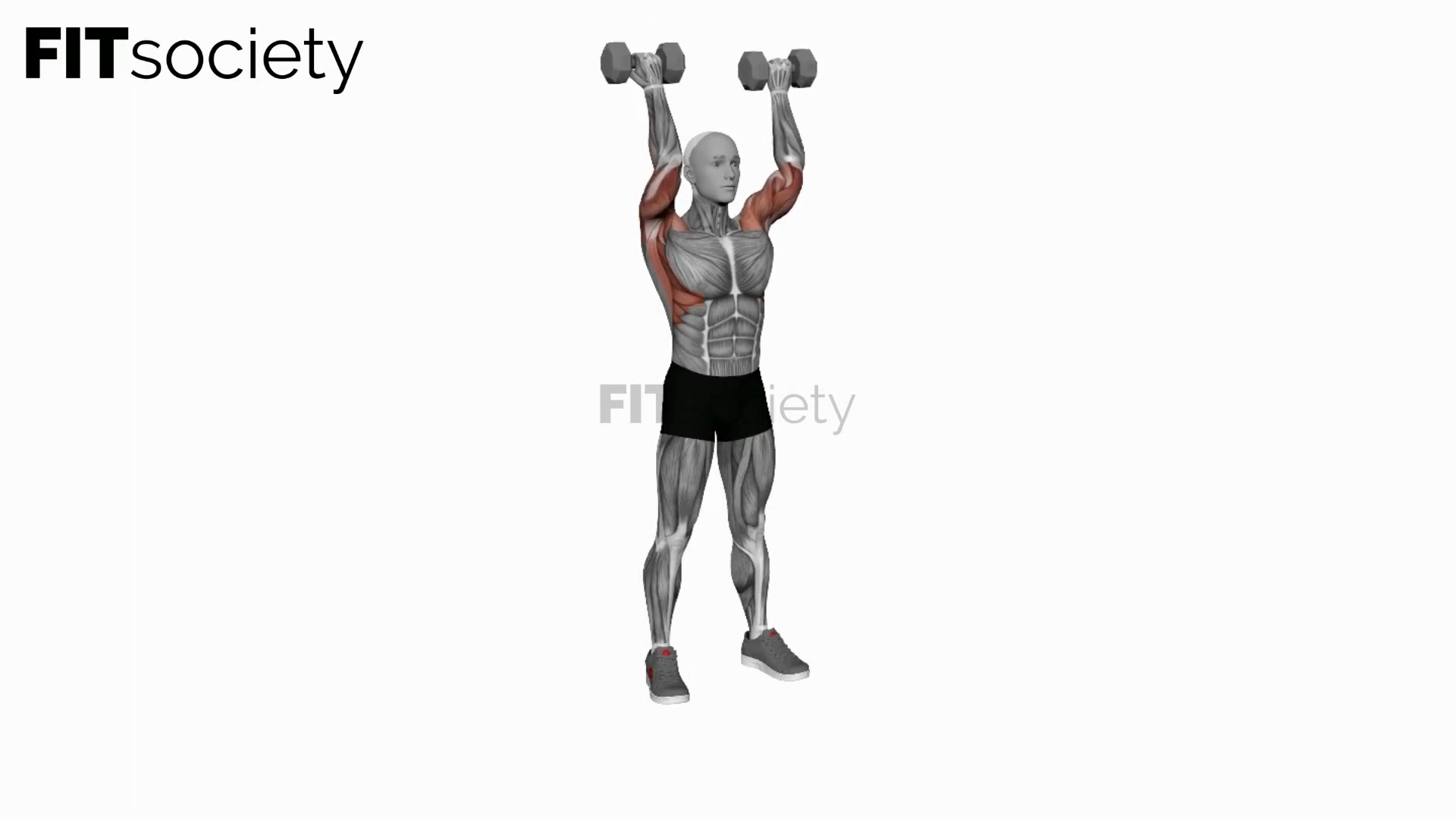 Dumbbell Curl Press Extension