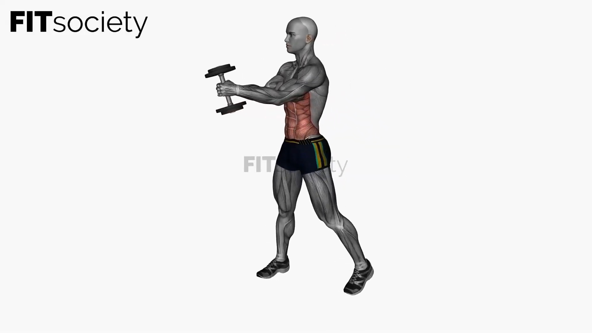 Dumbbell Diagonal Chop