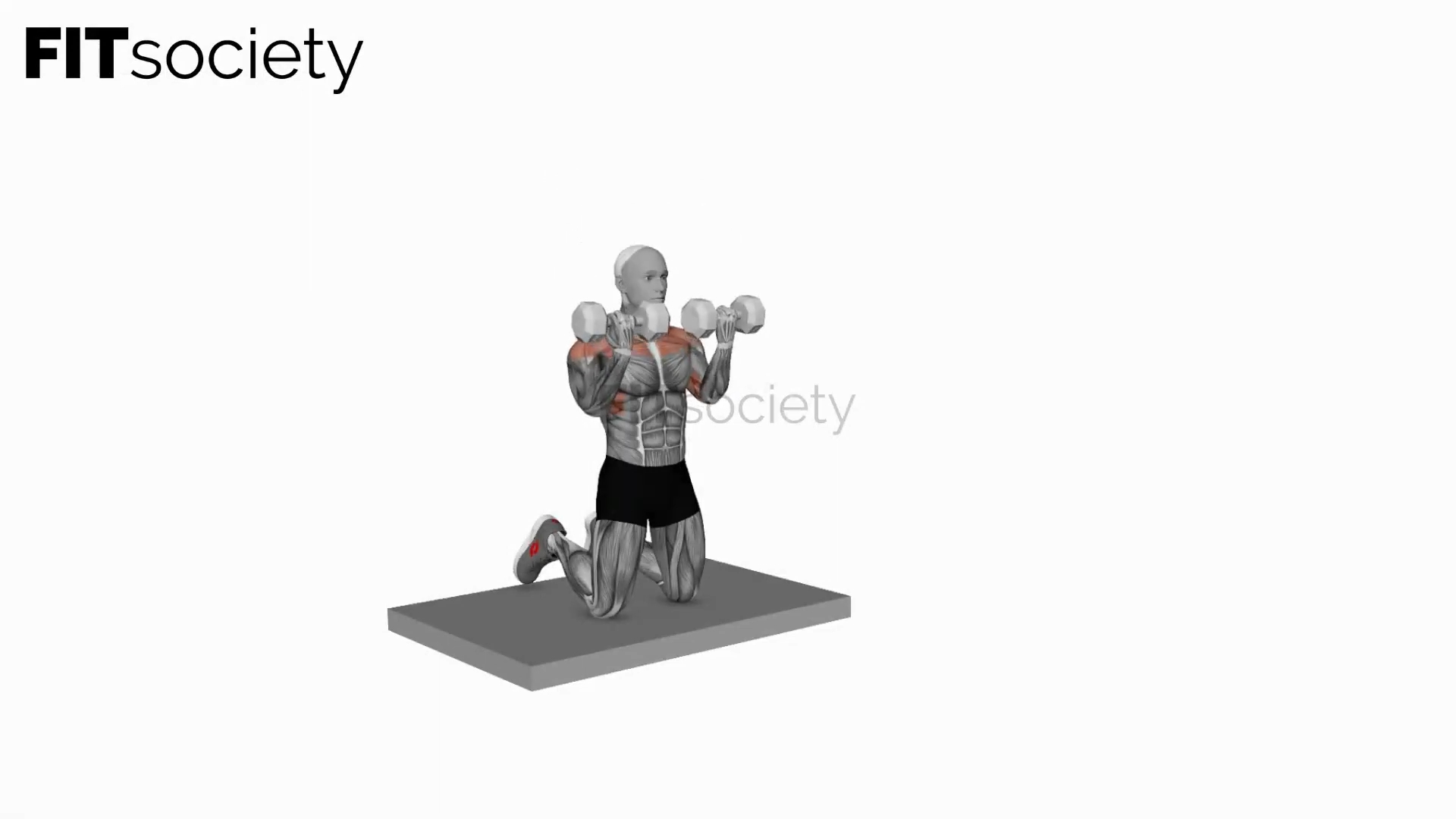 Dumbbell Kneeling Arnold Press
