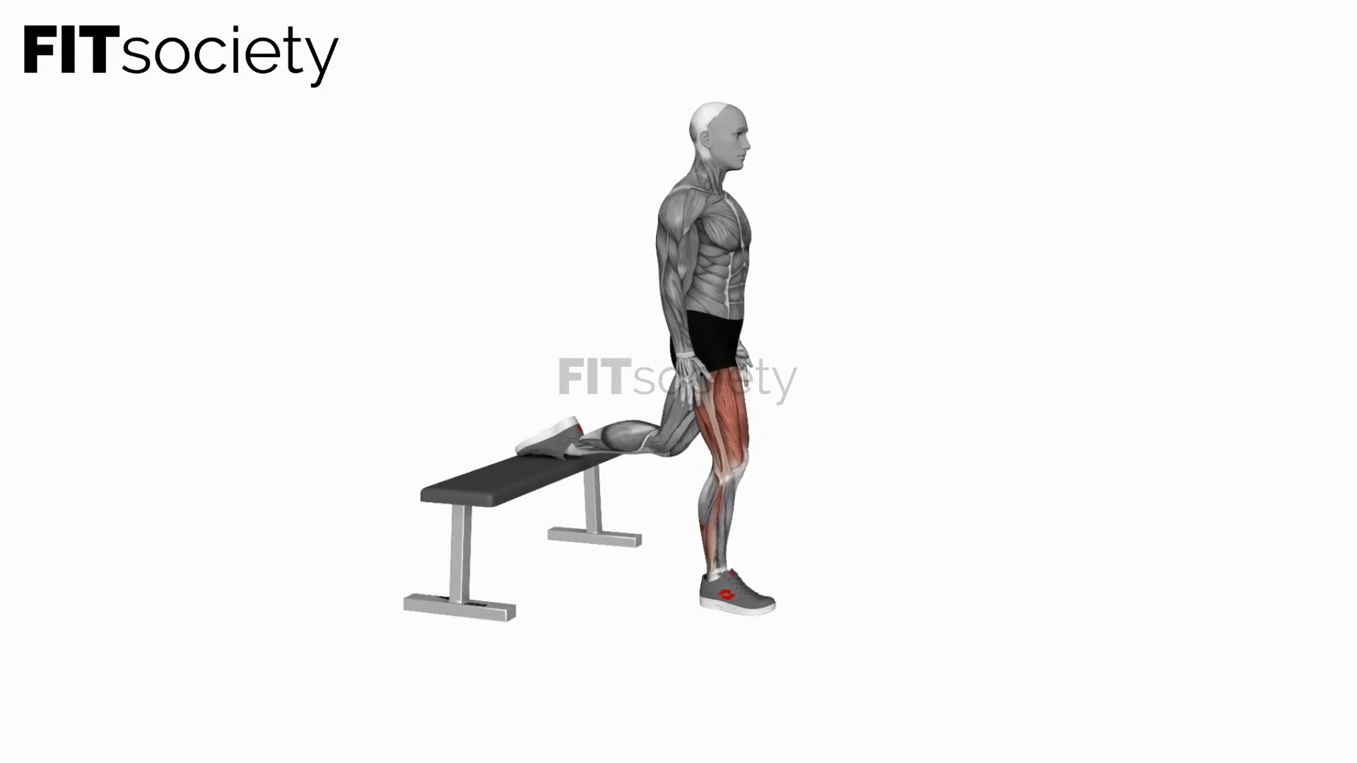 Bulgarischer Split Squat