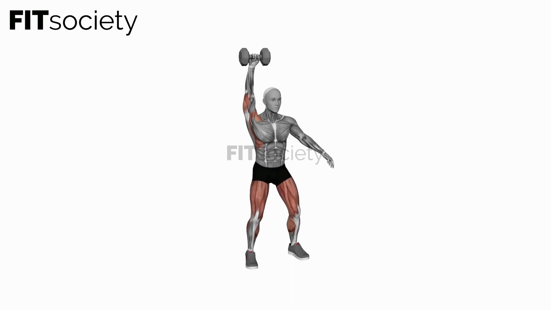 Dumbbell One-Arm Snatch