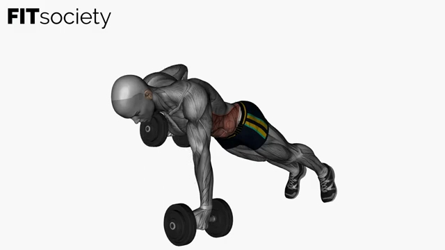 Dumbbells Plank To Alternating Row