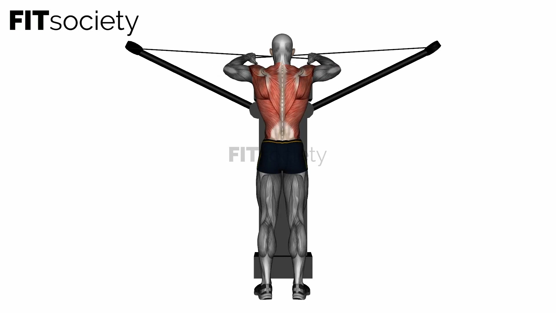 Reverse Cable Fly am Crossover