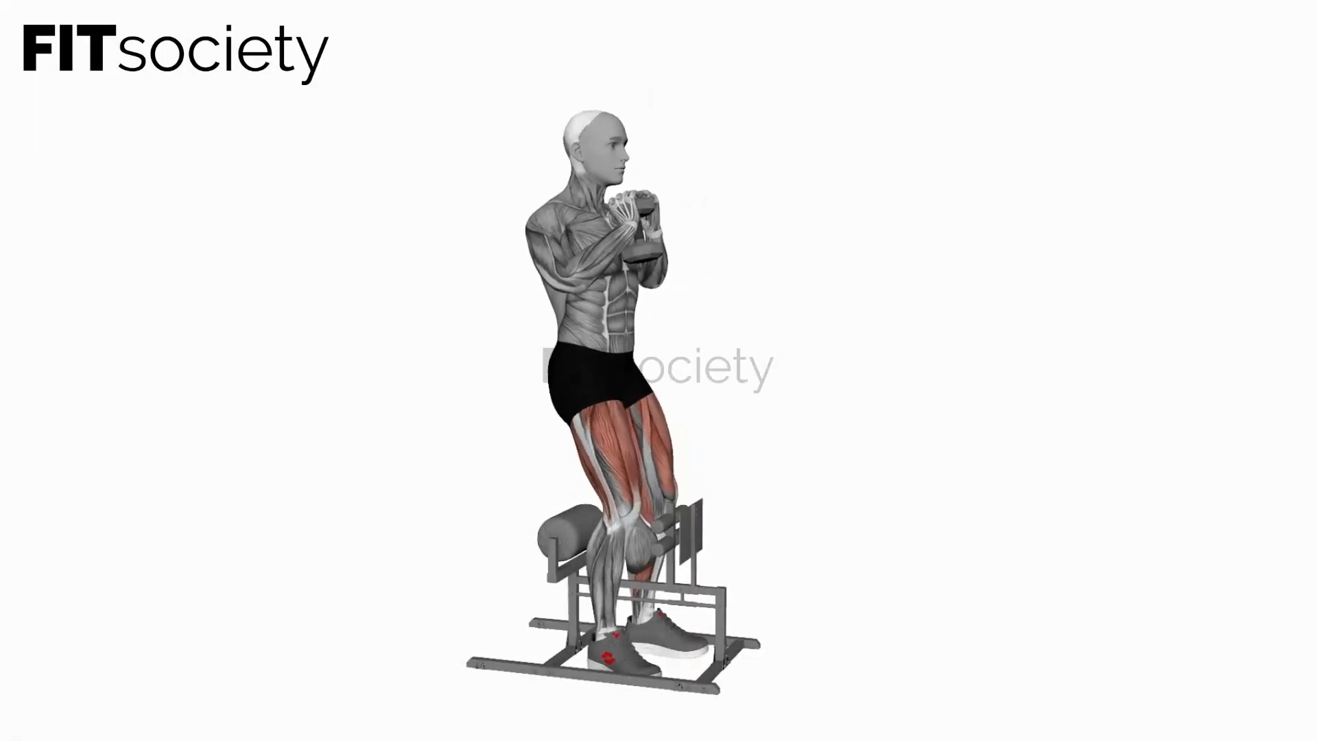 Dumbbell Supported Sissy Squat