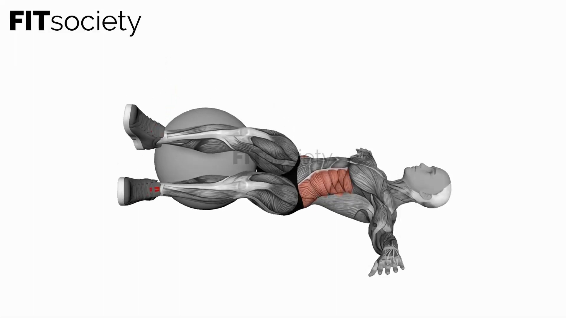 Bent Knee Lying Twist (On Stability Ball)